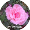 rosa pink
