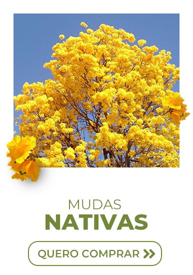 triplo nativas