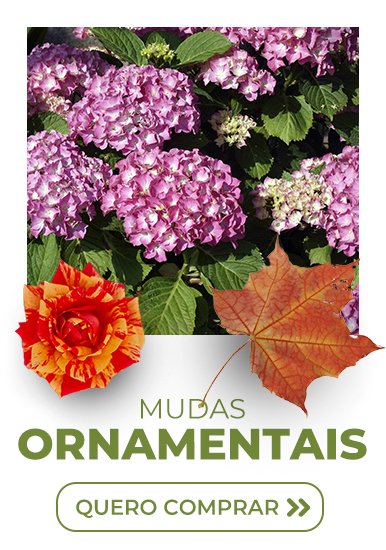 triplo ornamentais
