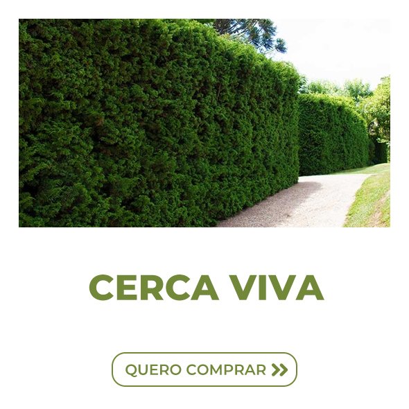 duplo cerca viva